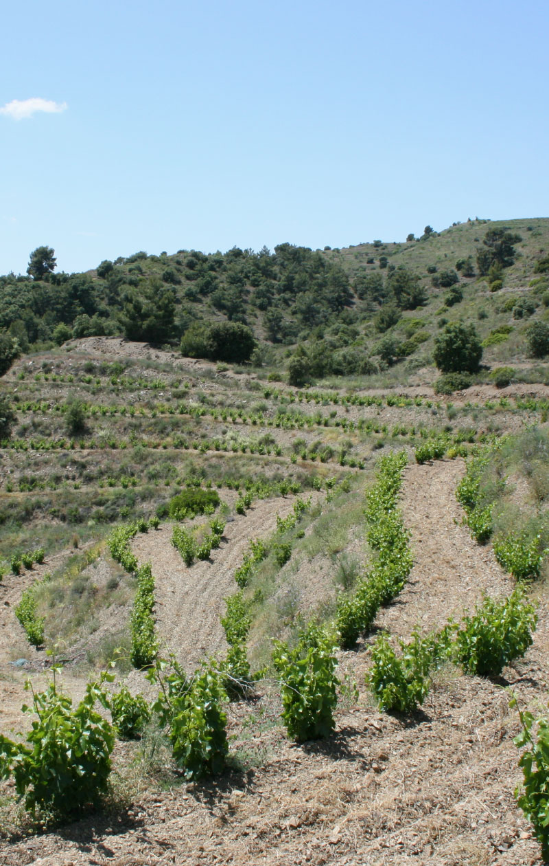 pardelasses priorat
