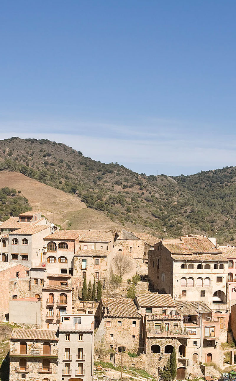 tarroja del priorat